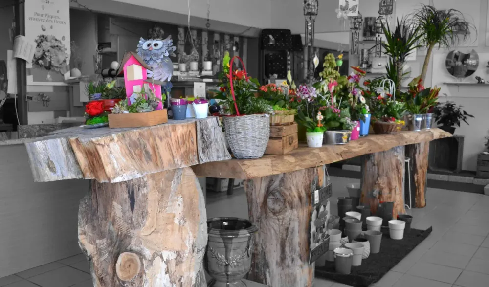 Plantes près de Meauzac