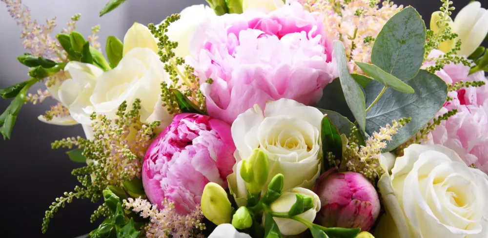 plantes